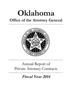 2014 20i Annual Report