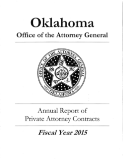 2015 20i Annual Report