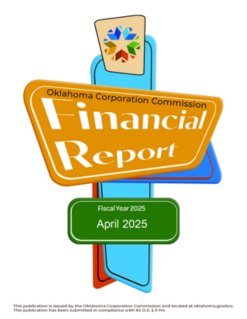 04. Monthly Financial Report April 2025