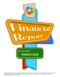 03. Monthly Financial Report March 2025