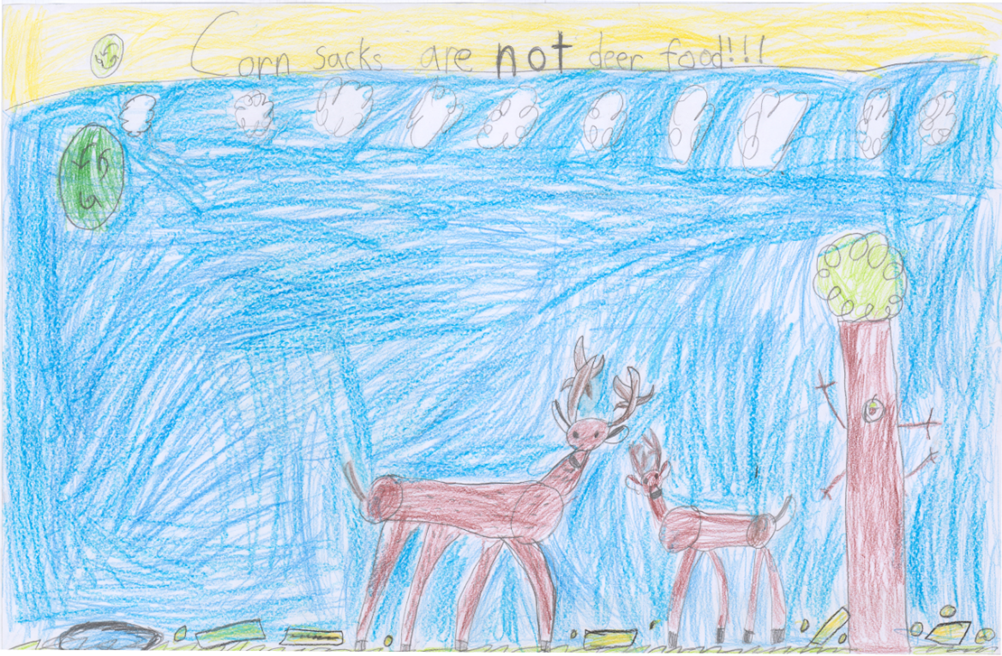 Honorable Mention Artwork