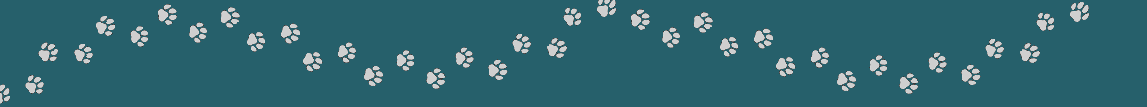 cartoon paw print graphic