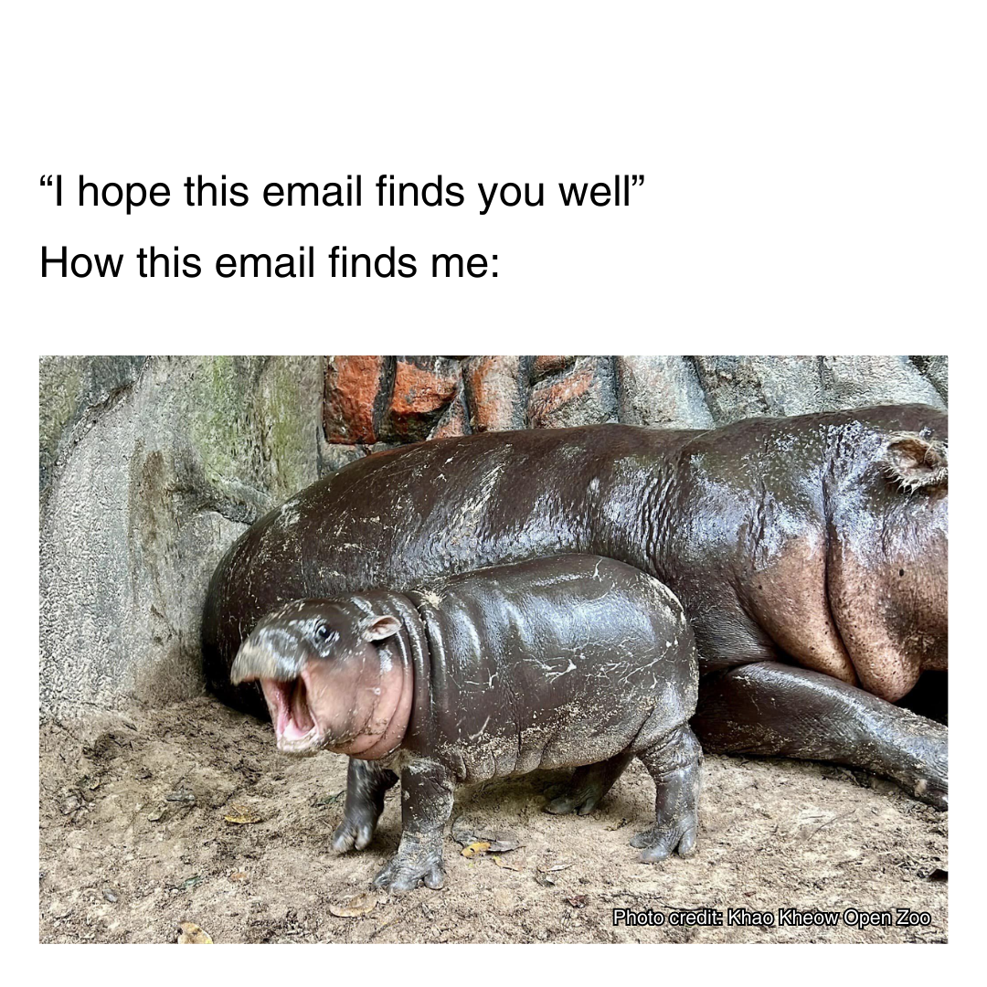 Cybersecurity Awareness Month 2024 - Meme Contest_02