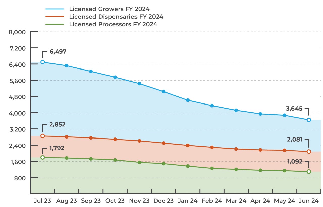 Annual Report FY24 Commercial Licenses Graph