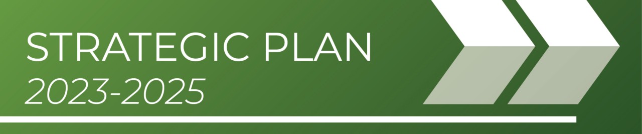Strategic Plan 2023-2025